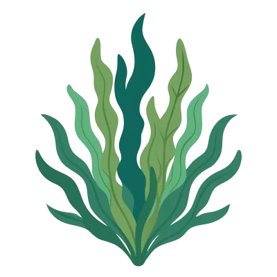 Imagen PNG para descargar